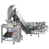Hand Filling Semi-Automatic Packing Machine System with Buckets Elevator Conveyor by HDPE LDPE tube film